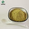 Extracto a granel 153-18-4 de Japonica del Sophora del polvo de la rutina del 98%