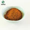 Tanshinone IIA 0,3% Salvia Extract Powder Salvianolic Acid B el 6%